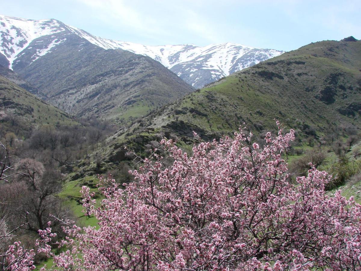 Hayat Guesthouse Nuratau Mountains Yukary-Ukhum Kültér fotó
