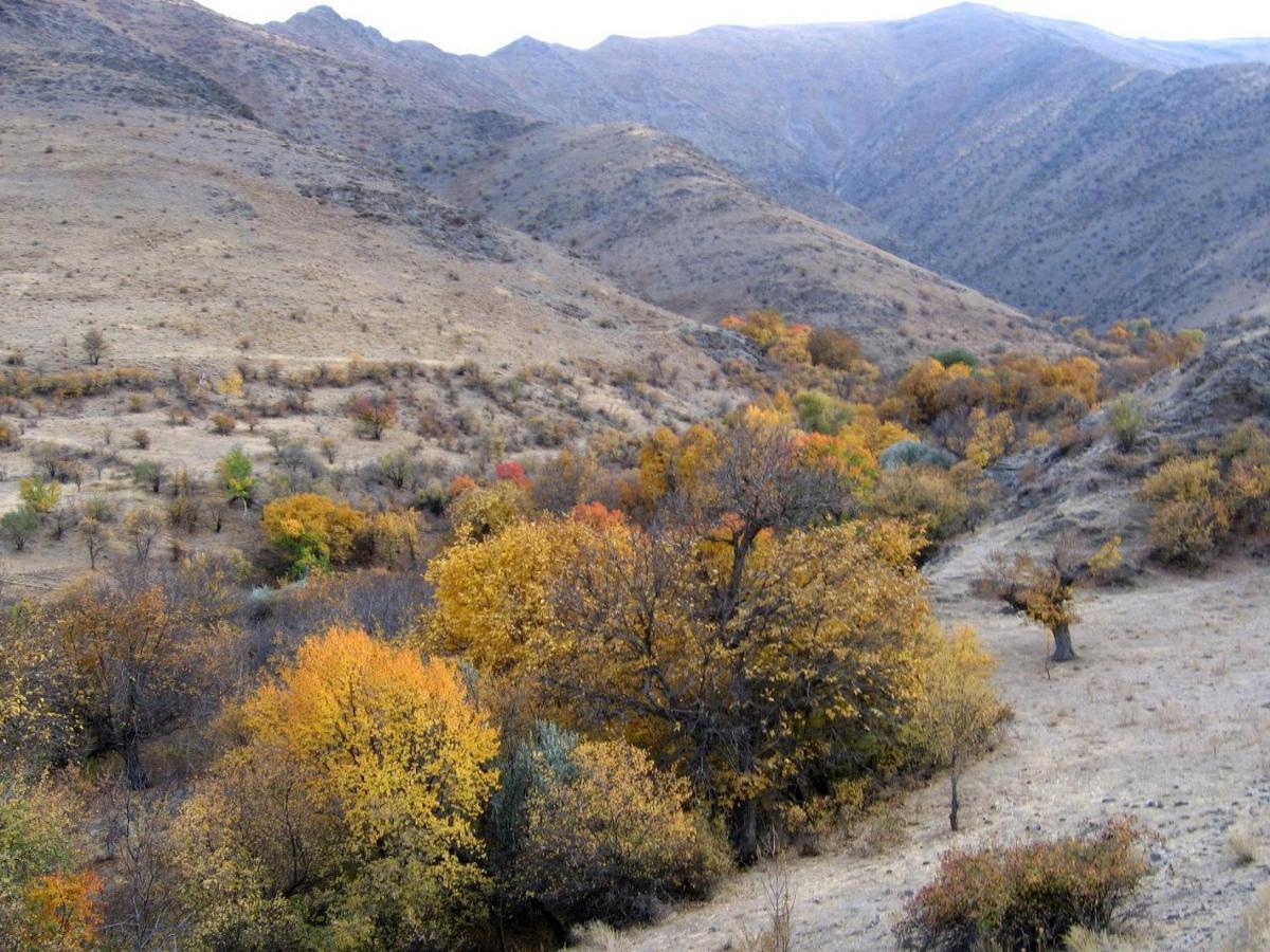Hayat Guesthouse Nuratau Mountains Yukary-Ukhum Kültér fotó